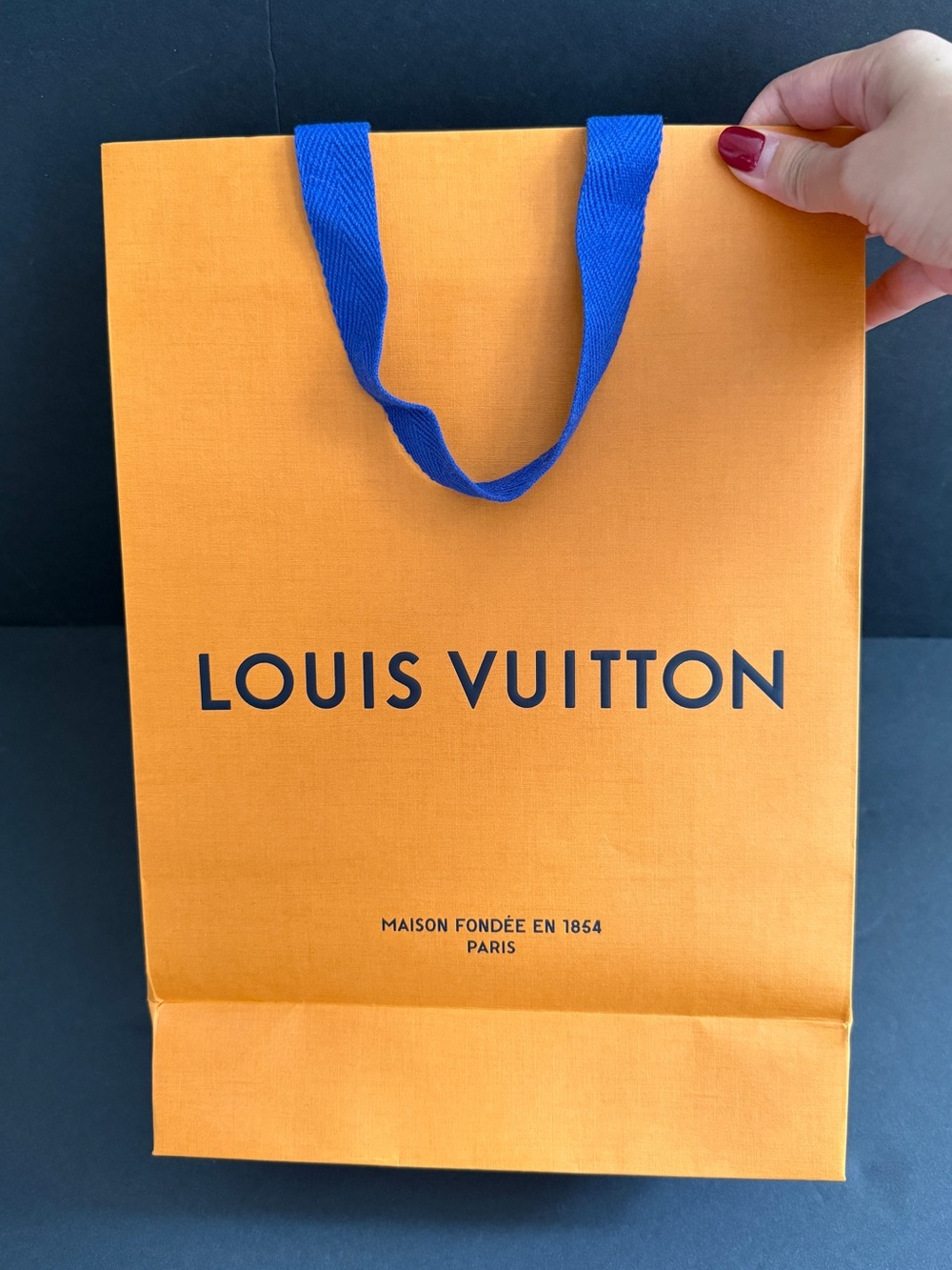 Louis Vuitton Orange and Blue Shopping Bag
